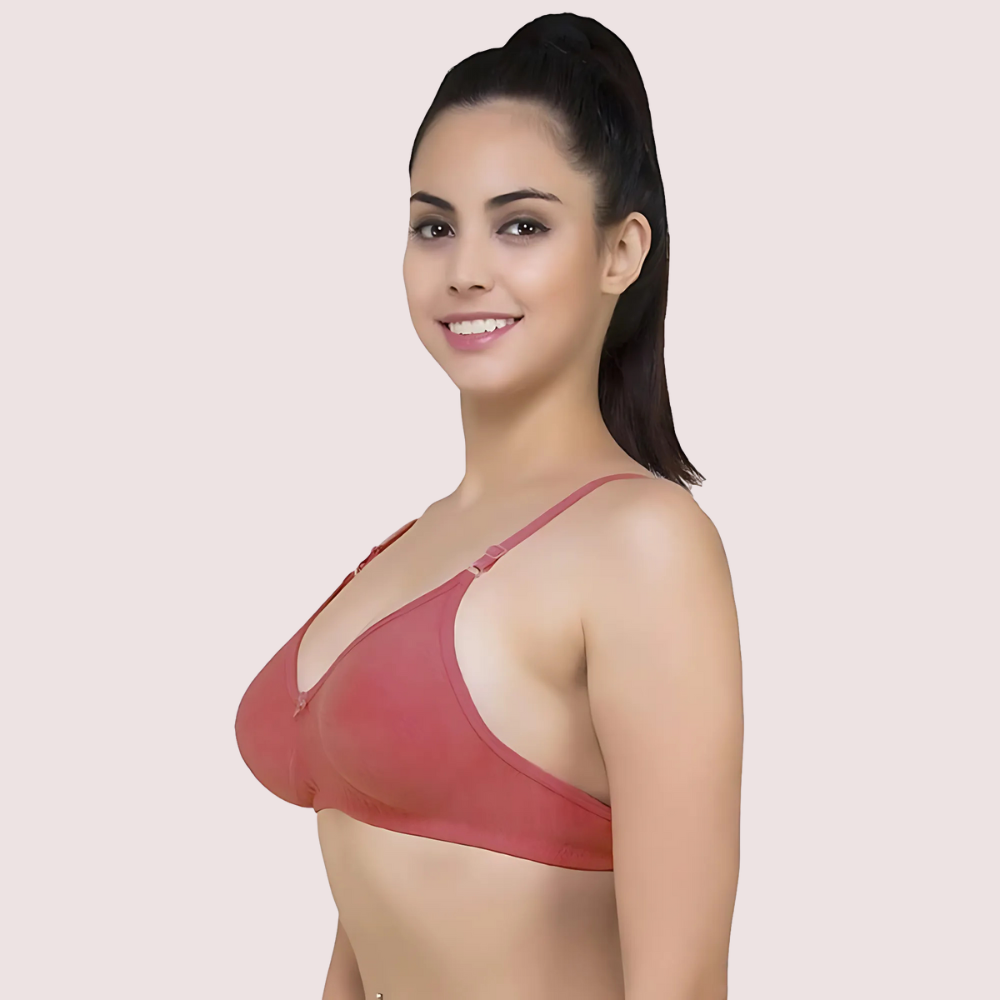 Lightly Padded Classic Comfort Bra - 2 Pack - product image 1