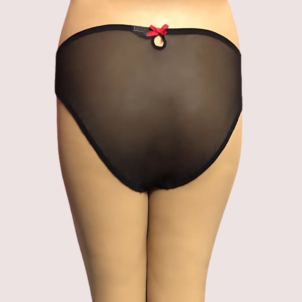Netted Keyhole Back Hipster Panty - product image 2