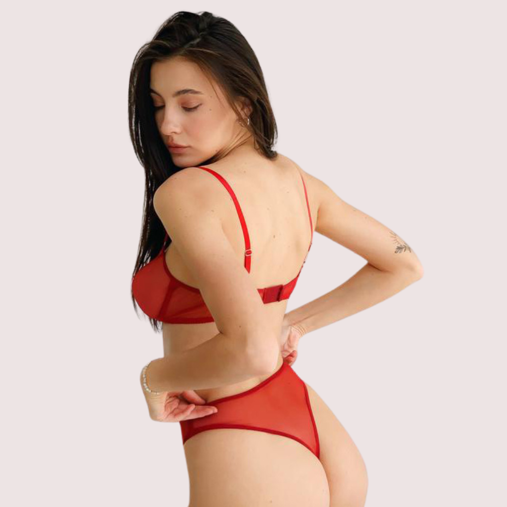 Scarlet Temptation Sheer Lingerie Set - product image 2